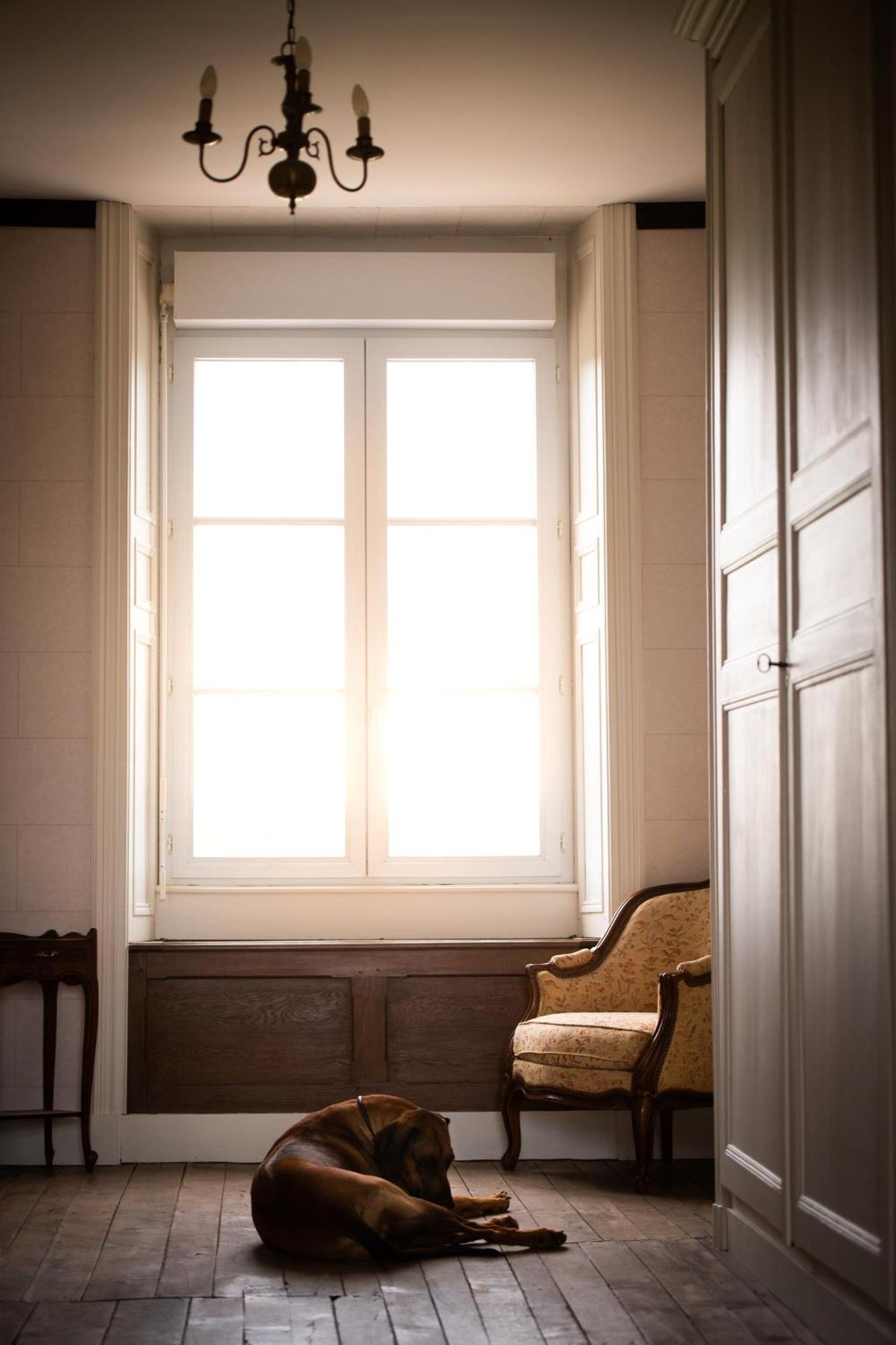 Sanxay Domaine De La Briouse B&B 외부 사진