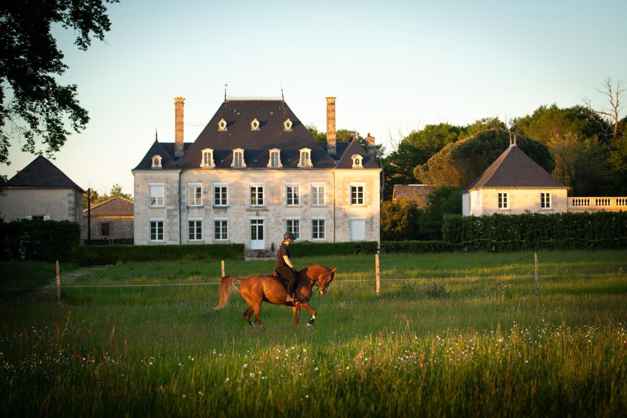 Sanxay Domaine De La Briouse B&B 외부 사진