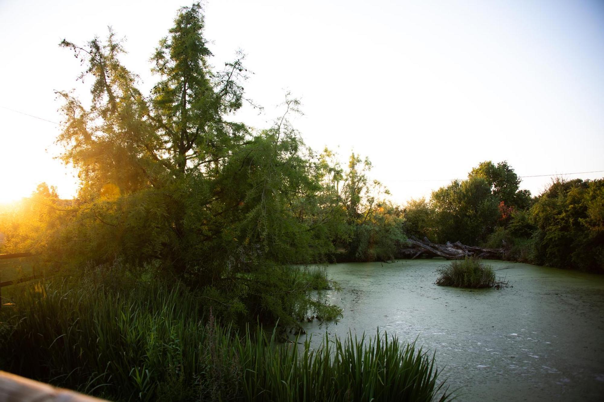Sanxay Domaine De La Briouse B&B 외부 사진