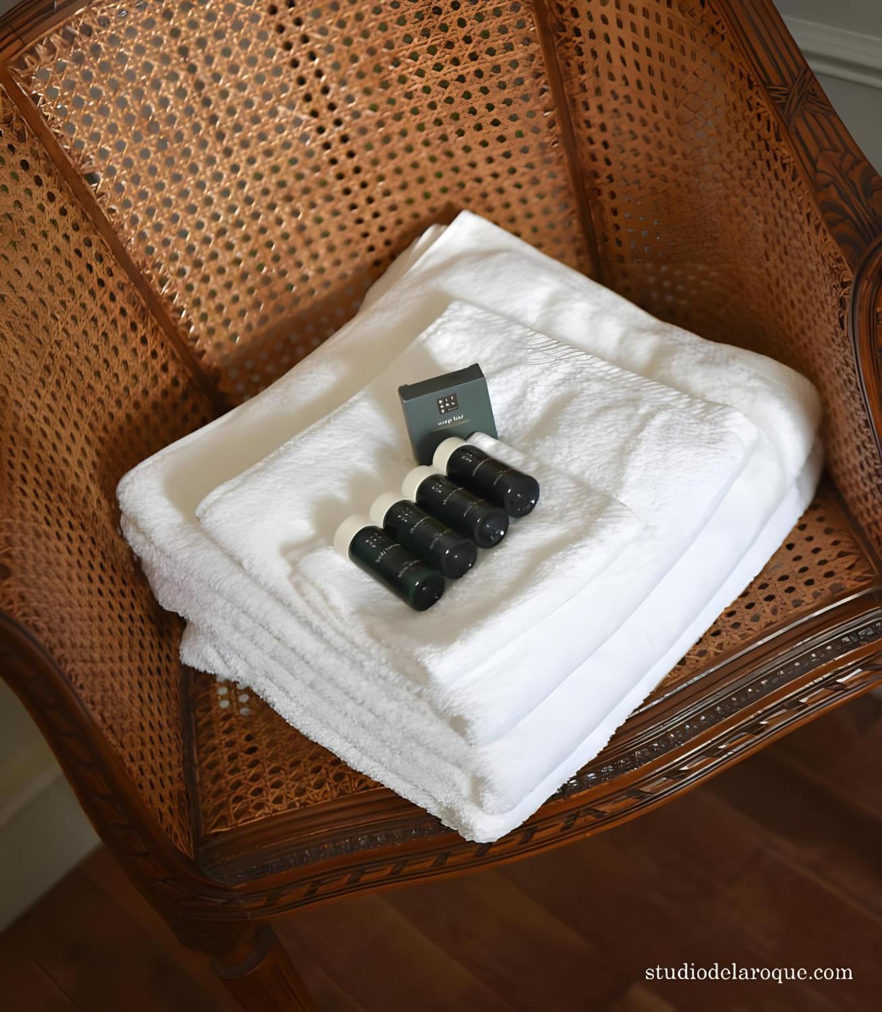 Sanxay Domaine De La Briouse B&B 외부 사진